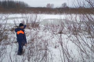 Во Владимирской области спасли провалившуюся под лед женщину