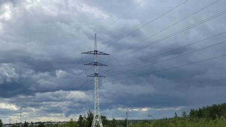 Во Владимирской области 8,5 тыс. жителей остались без света после урагана