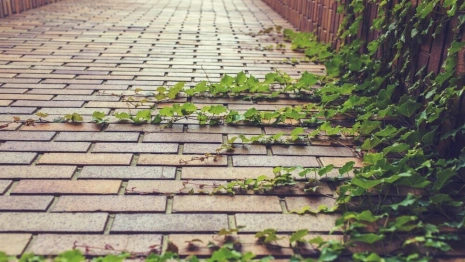 Шесть владимирских городов поборются за многомиллионные гранты от Минстроя