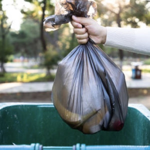 Крупный город во Владимирской области утонул в мусоре
