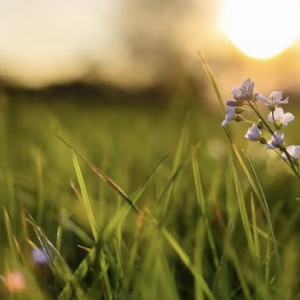 Пропавшего в июле 45-летнего жителя Вязников нашли живым