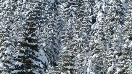 Прогноз погоды во Владимире и области на 6 декабря