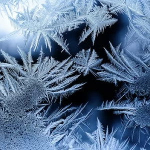 Павел Ледостав: что нужно сделать 19 ноября, чтобы избежать бедности