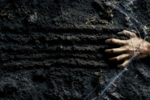 В СНТ «Сунгирь» под Владимиром нашли разложившийся труп мужчины на берегу Клязьмы