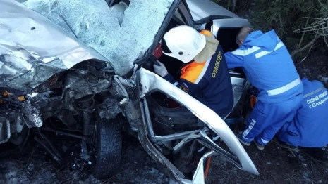 В ДТП на трассе Владимир – Муром пострадали 3 взрослых и 2 ребенка