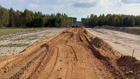 В деревне Камешковского района начали строить асфальтированную дорогу
