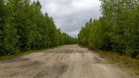 Во Владимирской области чиновников наказали за многочисленные ямы на дорогах