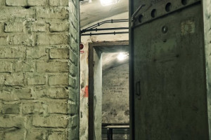 Во Владимирской области вскрылись проблемы с убежищами