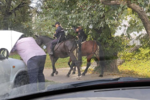 Во Владимире заметили конную полицию