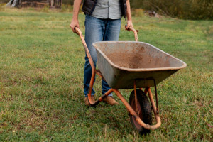 В Юрьев-Польском прокативший умирающего друга на тачке мужчина ответит в суде