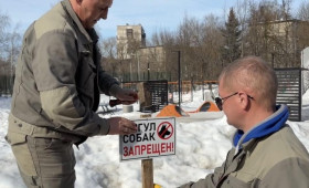 Во Владимире запретили выгул собак на газонах