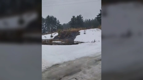Во Владимирской области канализационные стоки стекают в реку