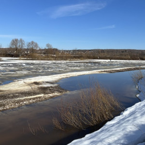 СНТ «Связист» во Владимире подготовили к весеннему половодью