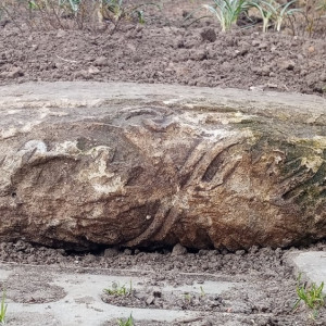 Под Владимиром из артефакта 12 века сделали бордюр для клумбы