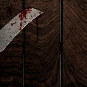 Жителя Московской области будут судить за убийство в СНТ в Александрове