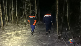 В Камешковском районе 76-летний рыбак заблудился в лесу