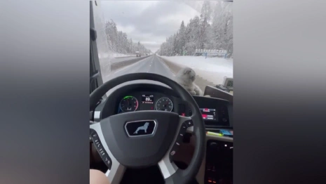 Дальнобойщица взяла в рейс по Владимирской области кошку