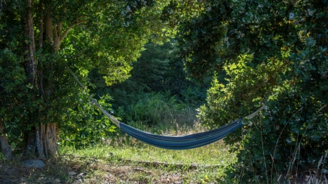 Эксперты рассказали, где российские пенсионеры проведут майские праздники