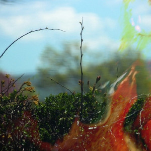 Во Владимирской области объявили 4 класс пожарной опасности 