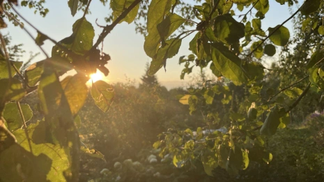 Прогноз погоды во Владимире и области на 25 сентября