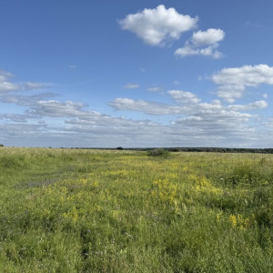 Прогноз погоды во Владимирской области на 23 июня 2025 года