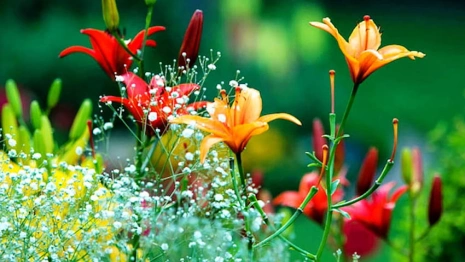 Август во Владимирской области будет пасмурным и жарким
