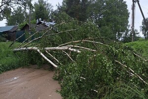 Ураган повредил энергообъекты минимум в 10 районах Владимирской области