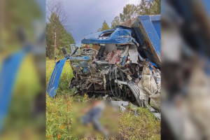 В Судогодском районе в аварии с двумя грузовиками погиб человек