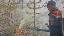 Запах гари из-за лесного пожара в Камешковском районе дошел до Коврова