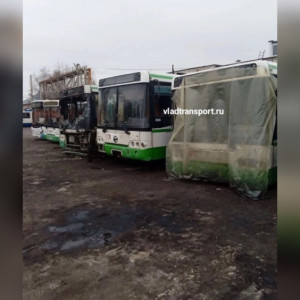 Владимирские перевозчики пожаловались на ужасный автобусный парк