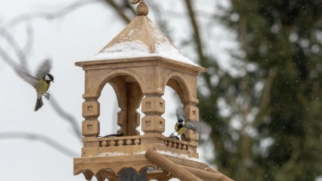 В Суздале мастера создали сказочную кормушку для птиц