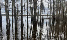 Пострадавшим во время половодья владимирцам выплатят до 156 тыс. рублей
