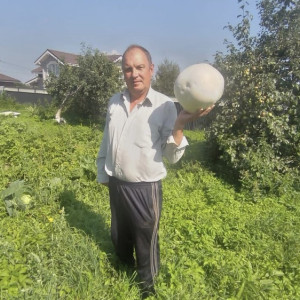 Житель Юрьев-Польского района вырастил 2-килограммовый дождевик