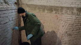 Житель Струнино изрезал бывшую возлюбленную ножом и «розочкой» из бутылки