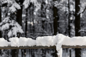Во Владимирской области последняя неделя января будет теплой и пасмурной
