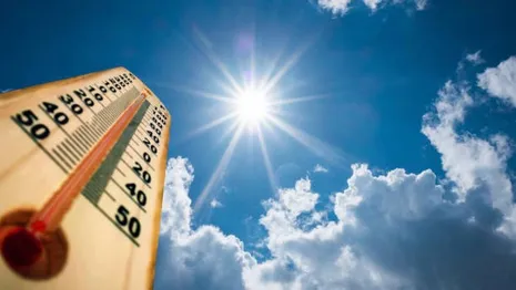 Во Владимирской области пообещали аномальную жару