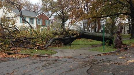 Владимирцев предупредили об усилении ветра до 20 м/с