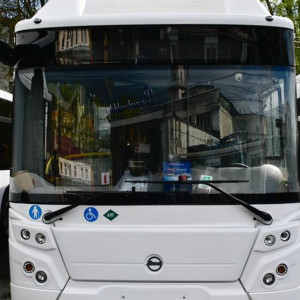 Владимир после четырех провальных аукционов получил 14 новых автобусов