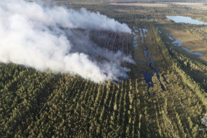 За лесным пожаром в Камешковском районе начали следить беспилотники