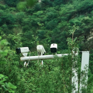 Во Владимире ремонт парка «Добросельский» привел к уголовному делу о подлоге