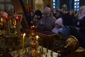 Во Владимир привезли мощи Матроны Московской и Луки Крымского