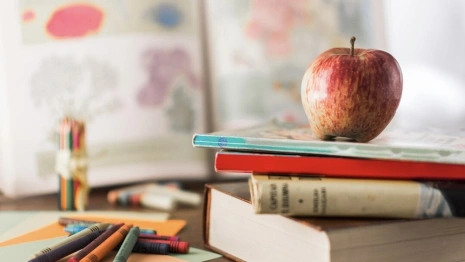 Во Владимирской области стартовал прием заявок в первые классы