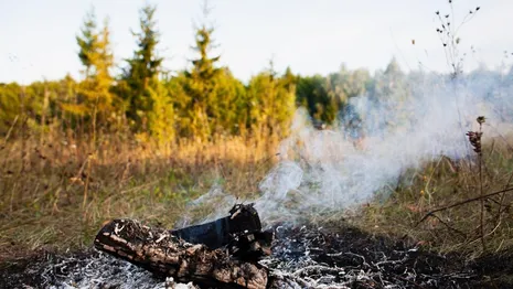 Во Владимирской области спасатели потушили 5 палов сухой травы