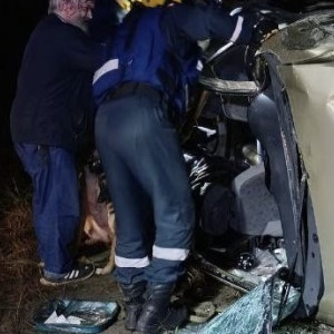 На М-7 во Владимирской области перевернулась легковушка с двумя собаками и котенком