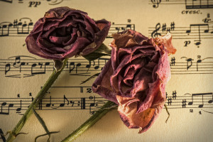 Во Владимире 11-классница покончила с собой