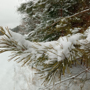 Синоптики назвали самые аномально теплые дни февраля во Владимире