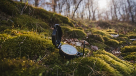 Во Владимире нашли пропавшего 3 недели назад 57-летнего мужчину