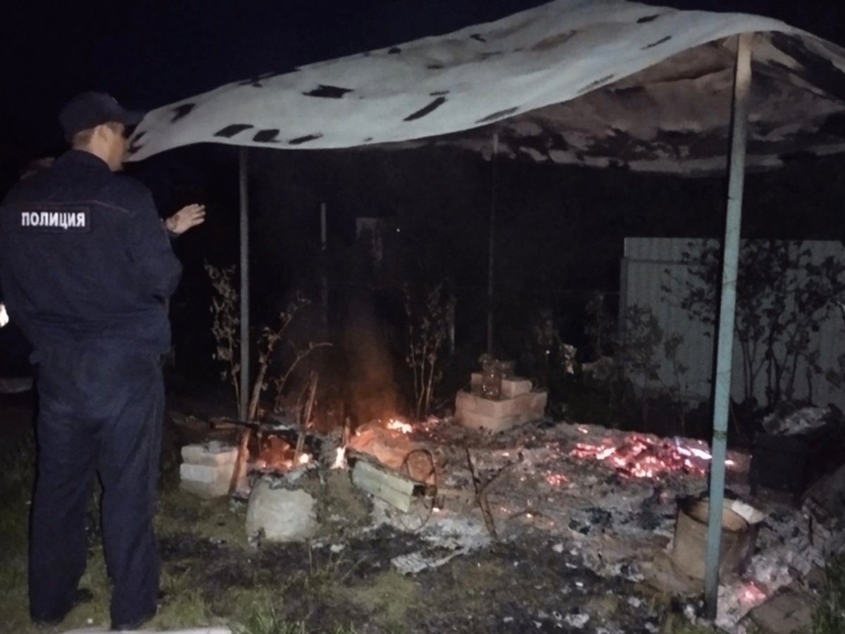 Во Владимирской области дачник поджег беседку соседей и угрожал топором -  День во Владимире