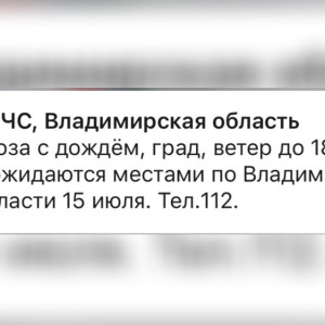 МЧС предупредило жителей Владимирской области о грозе и граде 15 июля