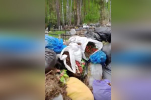 В Коврове кладбище превратили в свалку мусора
